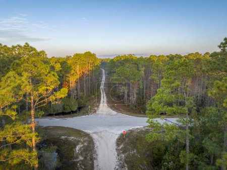 Téléchargez les photos : Franchissement routier au lever du soleil - Apalachicola National Forest en Floride, vue aérienne - en image libre de droit