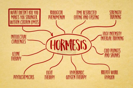 Photo for Hormesis and hormetic strategies for health and wellness - infographics and mind map sketch on art paper, exposure to low doses of a stressor or toxin - Royalty Free Image