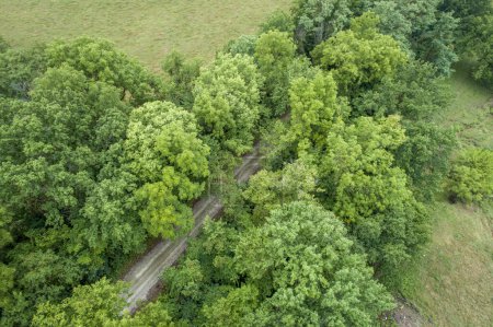 Téléchargez les photos : Vue aérienne du sentier Katy près de Pilot Grove, Missouri - piste cyclable de 237 milles s'étendant sur la majeure partie de l'État du Missouri convertie en chemin de fer abandonné - en image libre de droit