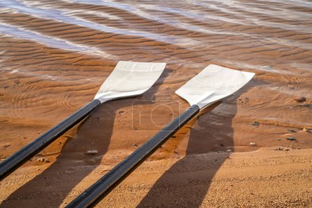 Photo for Blades of hatchet sculling oars on a sandy lake beach - Royalty Free Image