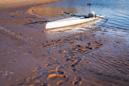 Téléchargez les photos : Coquille d'aviron côtière sur une rive boueuse du lac Carter dans le nord du Colorado avec des empreintes de pas - en image libre de droit