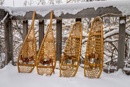 Classic wooden snowshoes (Huron and Bear Paw) in a backyard with snow falling
