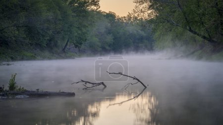 aube brumeuse au-dessus de la rivière Lamine à Roberts Bluff accès dans le Missouri, paysage printanier