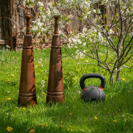 wooden Persian meels and a heavy kettlebell, dwarf cherry tree in blossom in a backyard lawn with dandelions