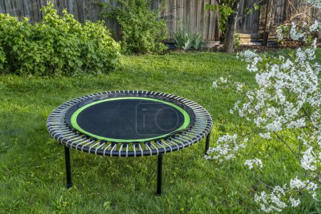 Photo for Mini trampoline for fitness exercising and rebounding in a backyard, spring scenery with cherry tree in blossom - Royalty Free Image