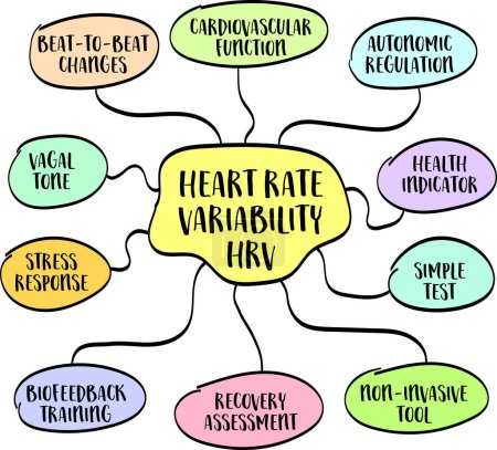 Téléchargez les illustrations : Variabilité de la fréquence cardiaque, HRV - infographie carte mentale, concept de santé cardiovasculaire, croquis vectoriel - en licence libre de droit
