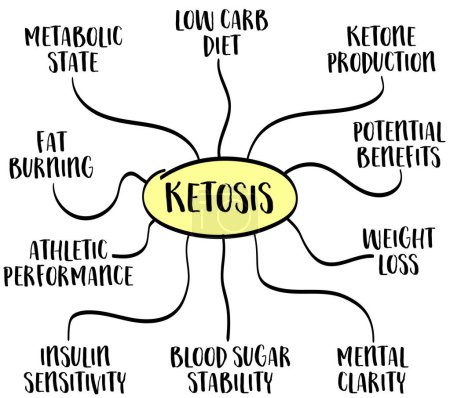 Illustration for Metabolic state of ketosis and its potential benefits for health and fitness, mind map infographics, vector sketch - Royalty Free Image