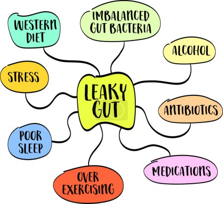 Illustration for Causes of leaky gut syndrome, mind map vector sketch, digestive health concept - Royalty Free Image