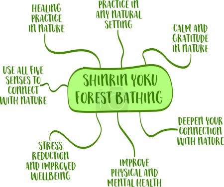 Illustration for Japanese concept of shinrin yoku, forest bathing, the practice of immersing oneself in nature, mind map vector sketch - Royalty Free Image