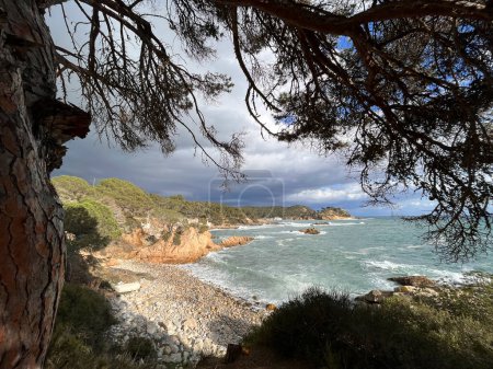 Téléchargez les photos : Coastal landscape in Calonge on the Catalan coast in the Costa Brava in the province of Girona in Catalonia Spain - en image libre de droit