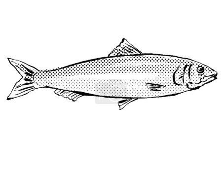 Photo for Cartoon style line drawing of a European pilchard or Sardina pilchardus,  a fish endemic to Germany and Europe in Atlantic Ocean with halftone dots shading on isolated background in black and white. - Royalty Free Image