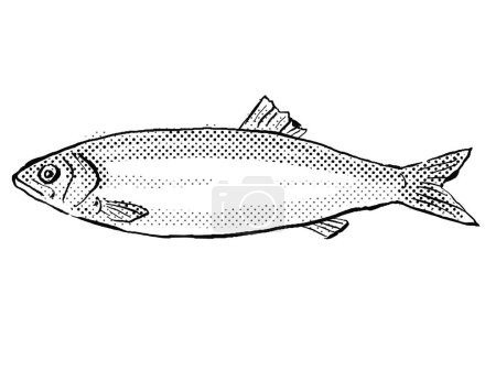 Photo for Cartoon style line drawing of a European sprat a fish endemic to Germany and Europe in Atlantic Ocean with halftone dots shading on isolated background in black and white. - Royalty Free Image