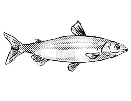 Foto de Dibujo en línea de estilo de dibujos animados de un pez blanco europeo o Coregonus lavaretus, un pez endémico de Alemania y Europa en el Océano Atlántico con puntos de medio tono sombreados sobre un fondo aislado en blanco y negro. - Imagen libre de derechos