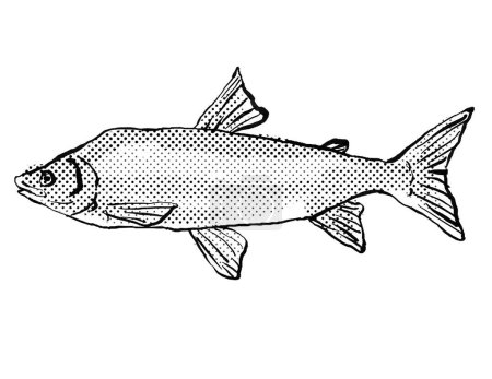 Foto de Dibujo de línea de estilo de dibujos animados de un pez blanco jorobado un pez endémico de Alemania y Europa en el Océano Atlántico con puntos de medio tono sombreado sobre fondo aislado en blanco y negro. - Imagen libre de derechos