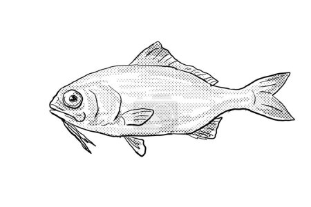 Téléchargez les photos : Dessin au trait de style bande dessinée d'un poisson barbu, un poisson endémique de l'archipel hawaïen et hawaïen avec des points demi-tons ombragés sur fond isolé en noir et blanc. - en image libre de droit