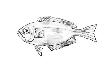 Photo for Cartoon style line drawing of a Hawaiian bigeye Priacanthus meeki or ula lau au a fish endemic to Hawaii and Hawaiian archipelago with halftone dots shading on isolated background in black and white. - Royalty Free Image