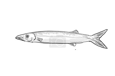 Foto de Dibujo en línea de estilo de dibujos animados de una barracuda japonesa Sphyraena japonica un pez endémico de Hawai y el archipiélago hawaiano con puntos de medio tono sombreado sobre fondo aislado en blanco y negro. - Imagen libre de derechos