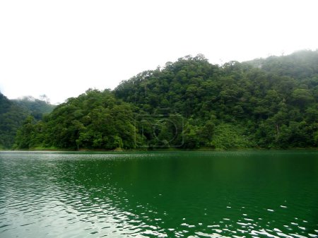 Foto de Foto de Balinsasayao Twin Lakes Natural Park que rodea el lago Balinsasayao y el lago Danao en la provincia de Negros Oriental, Filipinas. - Imagen libre de derechos