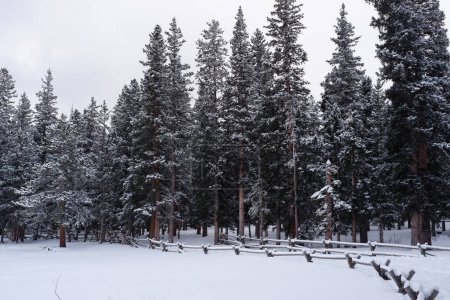Téléchargez les photos : Photo du lac Echo avec le mont Blue Sky près de Idaho Springs dans les montagnes Rocheuses, Colorado, États-Unis Etats-Unis pendant l'hiver. - en image libre de droit