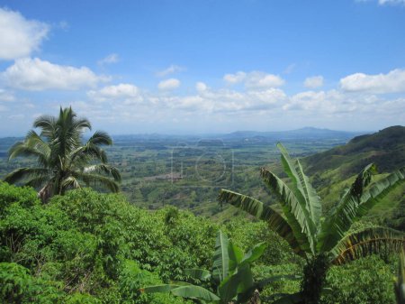 Téléchargez les photos : Photo d'une plantation d'ananas avec le mont Capistrano en arrière-plan à Malaybalay, Bukidnon, Philippines. - en image libre de droit