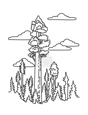 Ilustración de Mono line illustration of General Sherman tree in Sequoia National Park in southern Sierra Nevada mountains, California, United States done in black and white monoline line drawing art style - Imagen libre de derechos