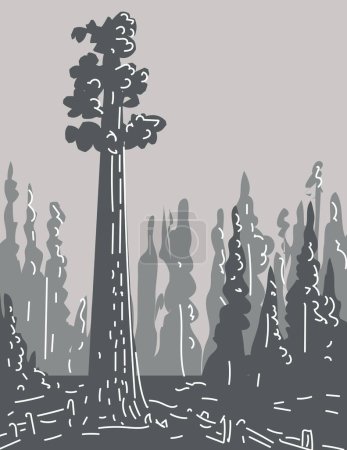 Foto de Mono line illustration of General Sherman tree in Sequoia National Park in southern Sierra Nevada mountains, California, United States done in monoline line drawing art style with grayscale shading - Imagen libre de derechos