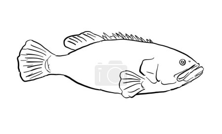 Illustration for Cartoon style line drawing of a giant grouper Epinephelus lanceolatus,  Queensland grouper, brindle grouper or mottled-brown sea bass a fish endemic to Hawaii and Hawaiian archipelago with halftone dots shading on isolated background in black and whi - Royalty Free Image