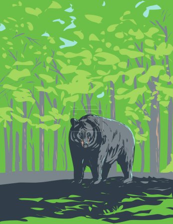 Illustration for WPA poster art of an American black bear Ursus americanus or baribal endemic to North America in Shenandoah National Park, Virginia done in works project administration or federal art project style - Royalty Free Image