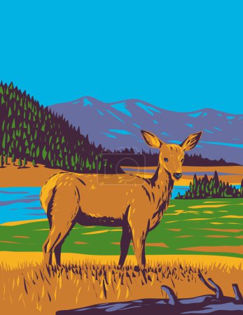 Téléchargez les illustrations : Affiche WPA d'un cerf mulet Odocoileus hemionus dans le parc national de Yellowstone, Wyoming États-Unis réalisée dans le cadre d'un projet d'administration d'œuvres ou d'un projet d'art fédéral. - en licence libre de droit