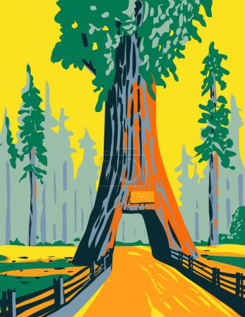 Téléchargez les illustrations : Affiche WPA de l'arbre lustre en Drive Thru Tree Park à Leggett, Californie situé dans le parc national de Redwood fait dans le style de gestion de projet de travaux. - en licence libre de droit