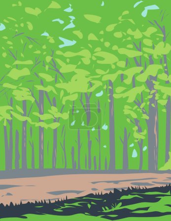 WPA-Plakatkunst eines Waldes im Shenandoah-Nationalpark, Virginia, Vereinigte Staaten, durchgeführt in der Projektverwaltung oder im Stil eines föderalen Kunstprojekts