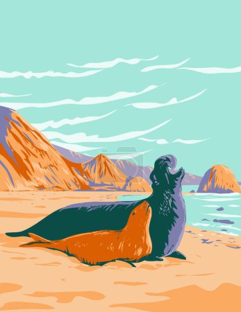 Illustration for WPA poster art of Northern elephant seal Mirounga angustirostris, male and female at Point Reyes National Seashore on Point Reyes Peninsula in Marin County California in works project administration. - Royalty Free Image