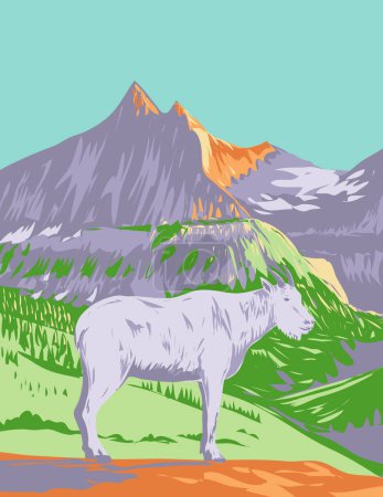 Illustration for WPA poster art of a mountain goat or the Rocky Mountain goat at the Glacier National Park located in northwestern Montana United States of America done in works project administration. - Royalty Free Image