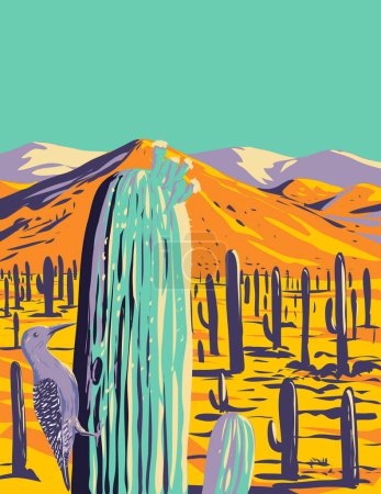 Illustration for WPA poster art of a Gila woodpecker or Melanerpes uropygialis in Saguaro National Park located in Pima County, southeastern Arizona United States of America done in works project administration. - Royalty Free Image