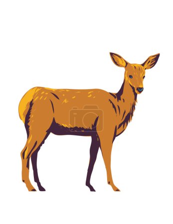 Illustration for WPA poster art of a mule deer Odocoileus hemionus viewed from side on isolated white background done in works project administration or federal art project style. - Royalty Free Image