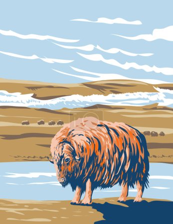Illustration for WPA poster art of Aulavik National Park located on Banks Island along the Thomsen River in the Northwest Territories of Canada done in works project administration or federal art project style. - Royalty Free Image