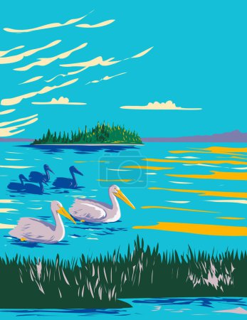 Illustration for WPA poster art of pelicans in Astotin Lake within Elk Island National Park in Alberta, Canada done in works project administration. - Royalty Free Image