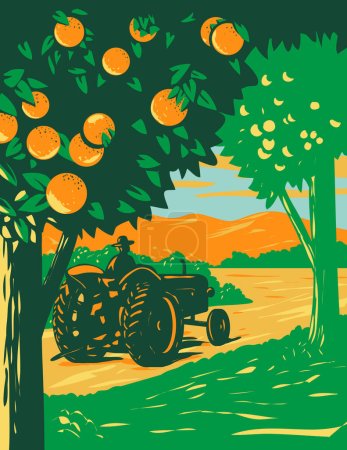 Illustration for WPA poster art of an orange grove in Central Florida with a farmer driving a vintage tractor and mountains in background done in works project administration or Art Deco style. - Royalty Free Image