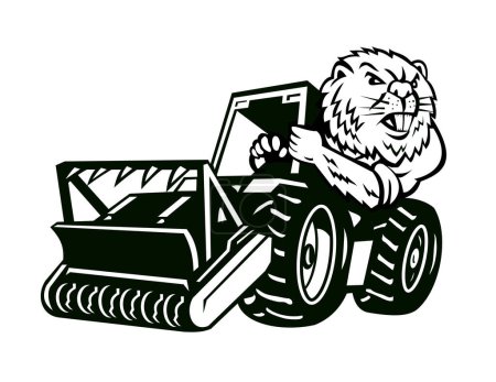 Maskottchen-Illustration eines wütenden nordamerikanischen Bibers, der einen Mulchtraktor von vorne auf isoliertem weißem Hintergrund im Retro-Cartoon-Stil fährt