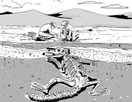 Illustration for Comics style drawing or illustration of archeologist digging up fossil bones of prehistoric dinosaur in the desert under layers of sedimentary rocks done in monochrome retro style. - Royalty Free Image