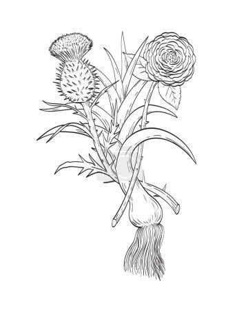 Illustration for Line drawing sketch style illustration of four emblems representing the nations of Great Britain GB, English rose, Welsh leek and the Scottish thistle done in black and white on isolated background. - Royalty Free Image