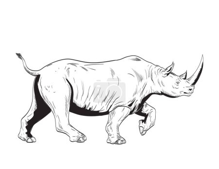 Téléchargez les illustrations : Dessin de style bande dessinée ou illustration d'un rhinocéros ou d'un rhinocéros, un ongulé aux doigts bizarres de la famille des Rhinocerotidae, chargé à partir d'un fond isolé latéral dans un style rétro noir et blanc - en licence libre de droit