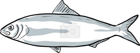 Illustration for Alabama shad Fish of Florida Cartoon Drawing - Royalty Free Image