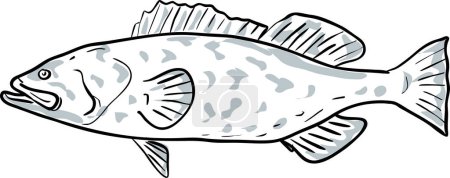Illustration for Gag Grouper Fish Gulf of Mexico Cartoon Drawing - Royalty Free Image