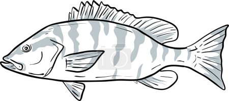 grauer Schnapper Fisch Golf von Mexiko Cartoon Zeichnung