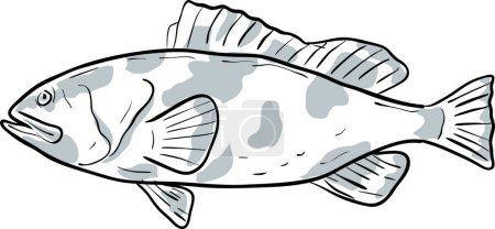 Illustration for Red Grouper Fish Gulf of Mexico Cartoon Drawing - Royalty Free Image