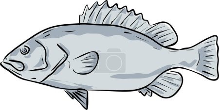 Illustration for Snowy grouper Fish Gulf of Mexico Cartoon Drawing - Royalty Free Image