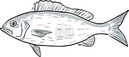 Téléchargez les illustrations : Vermilion Snapper Fish Golfe du Mexique dessin animé - en licence libre de droit