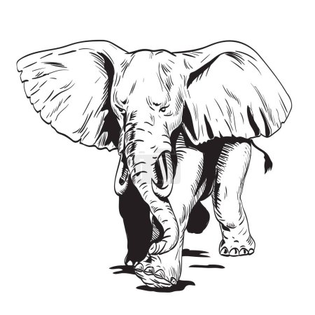 Téléchargez les illustrations : Dessin de style BD ou illustration d'une charge d'éléphant d'Afrique en colère vue de face sur fond isolé dans un style rétro noir et blanc. - en licence libre de droit