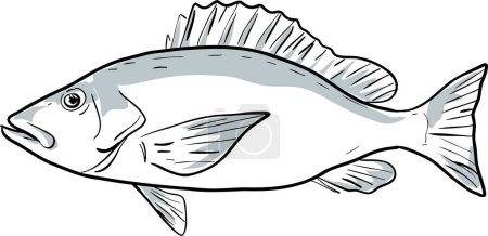 Illustration for Blackfin snapper Fish Gulf of Mexico Side View Cartoon Drawing - Royalty Free Image